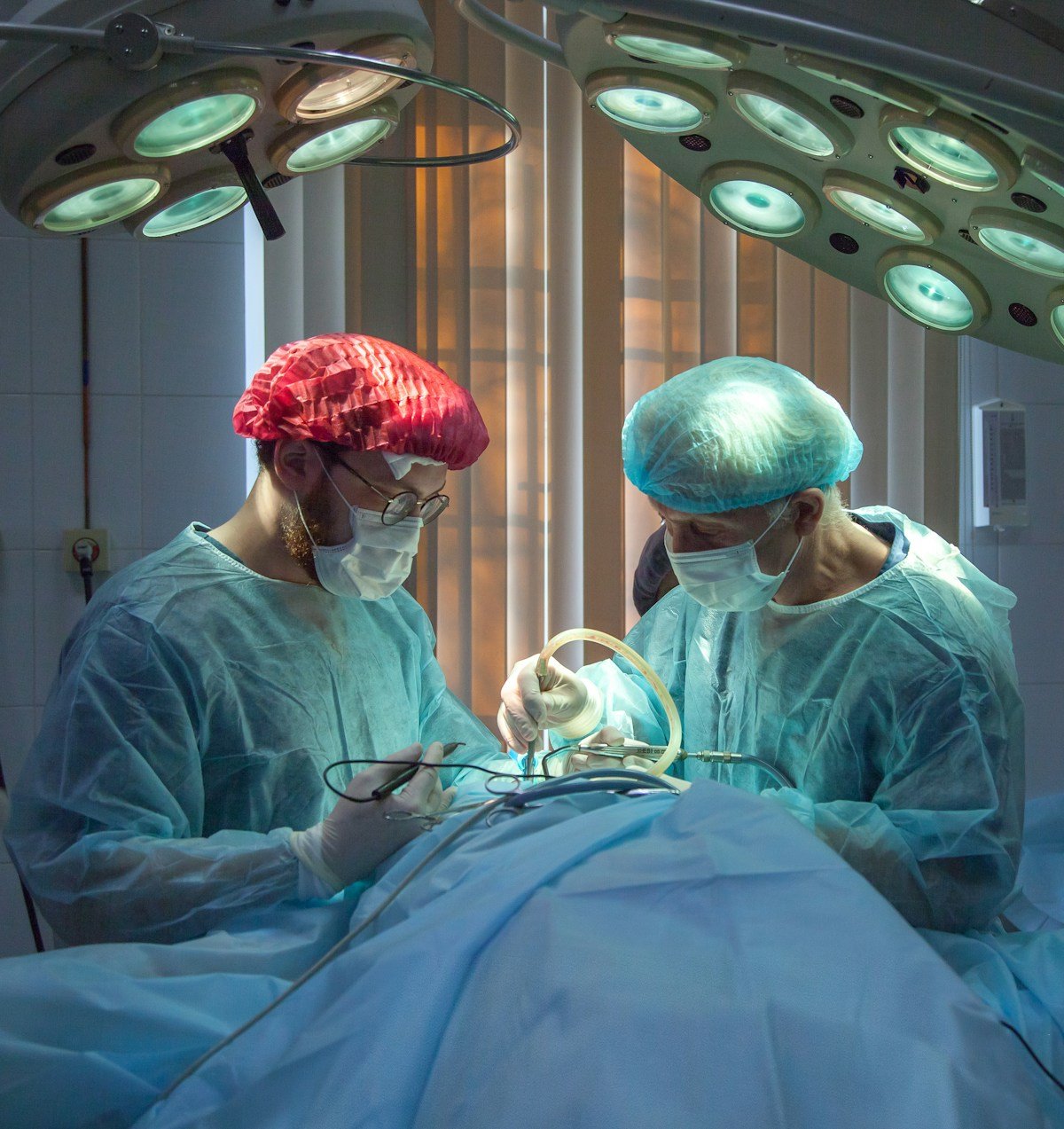 Organ Transplant